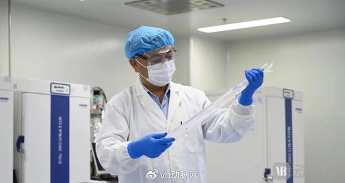 國產(chǎn)生物型人工血管獲創(chuàng)新通道認(rèn)可，心血管治療迎來新突破